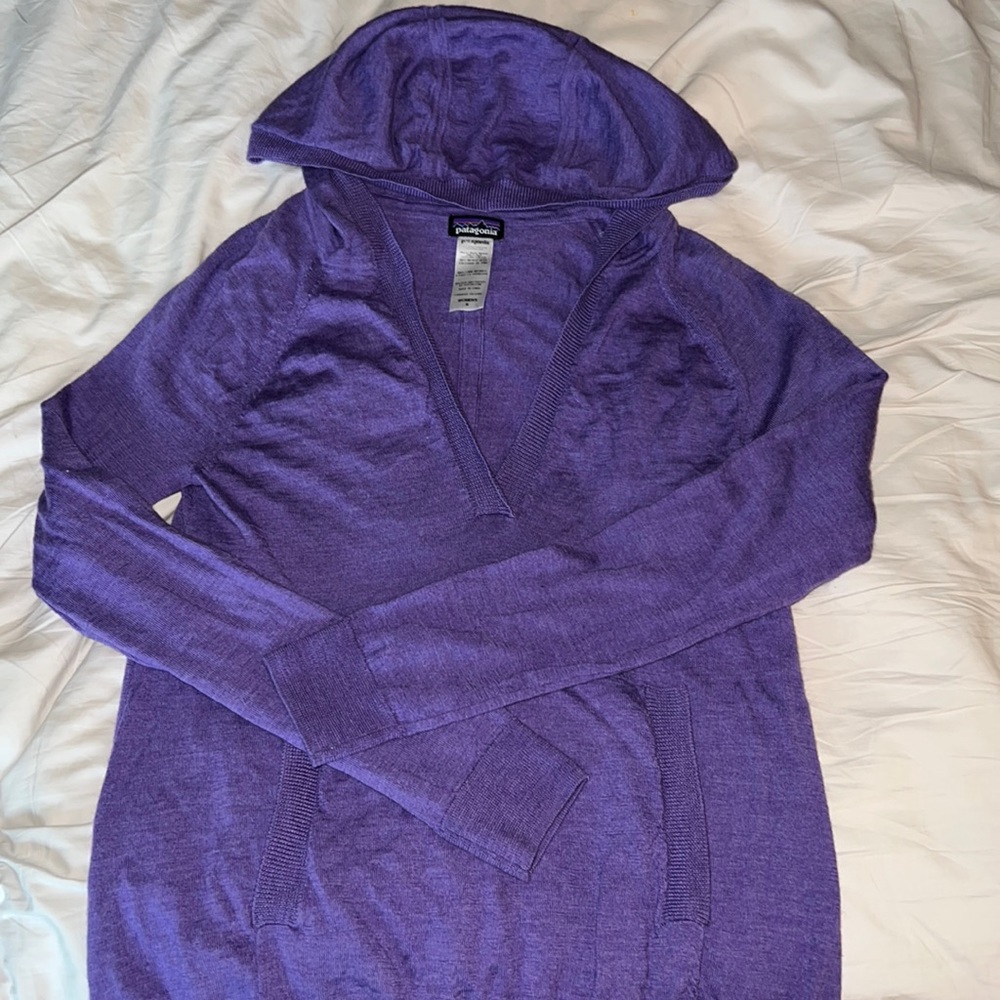 Patagonia Merino Wool Hooded Sweater
